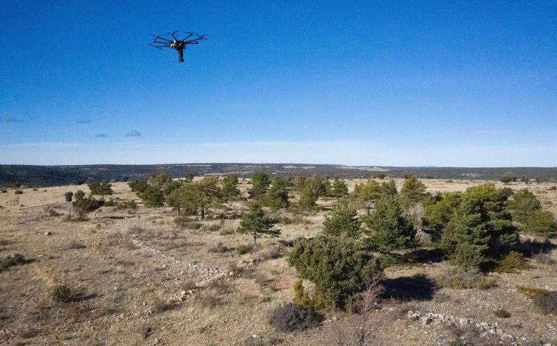 El plan de Iberdrola que puede transformar los espacios naturales quemados en la provincia Salamanca