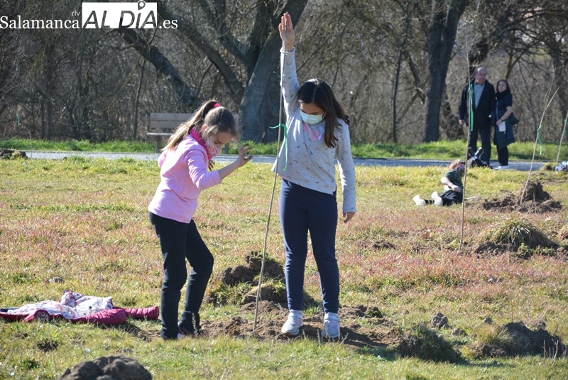 Más de 500 niños facilitan la repoblación forestal de la Isla del Soto