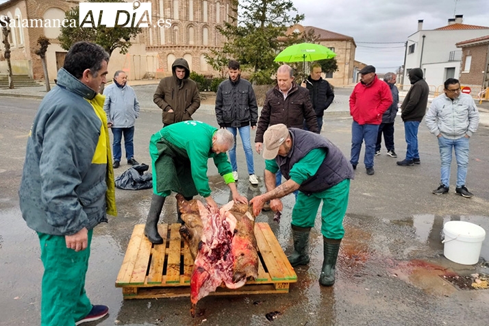 Villar de Gallimazo se echa a las calles para vivir su 10º Matanza Típica
