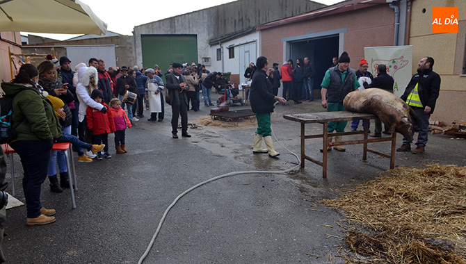 Villar de Gallimazo, en cuenta atrás para su X Matanza Típica, que llega con novedades
