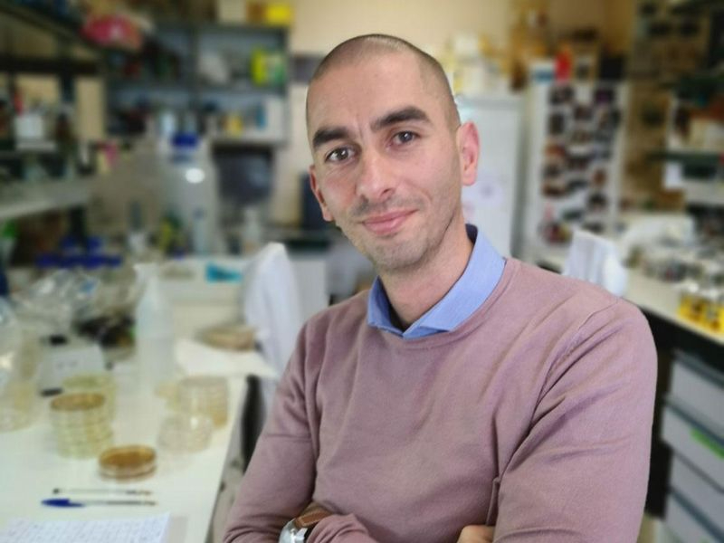 Luis García Jambrina, Guillem Santacruz y Raúl Rivas González presentan sus obras en Santos Ochoa