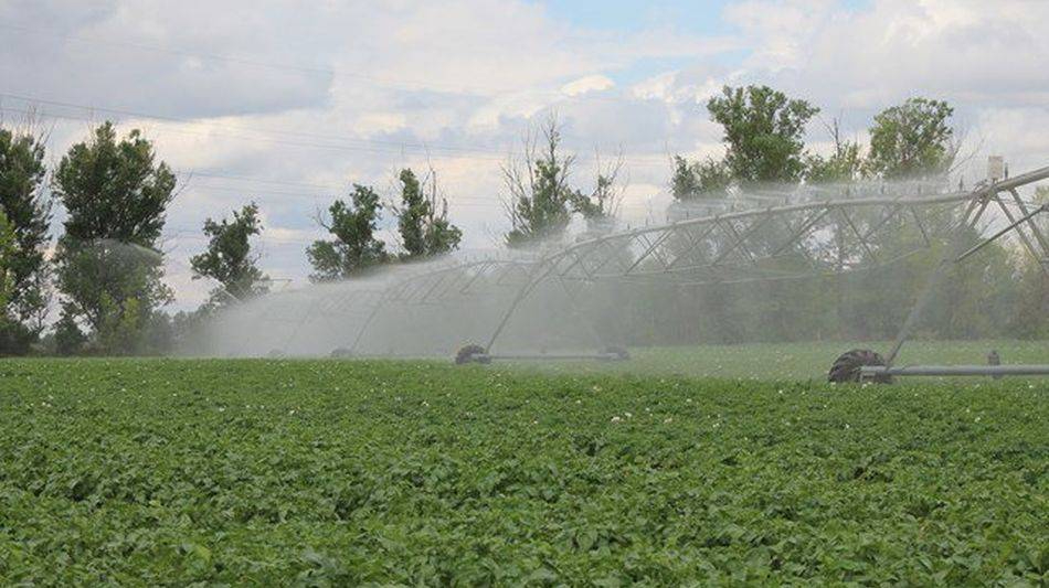 La Universidad de Salamanca participa en el proyecto nacional ‘SOS Agua XXI’