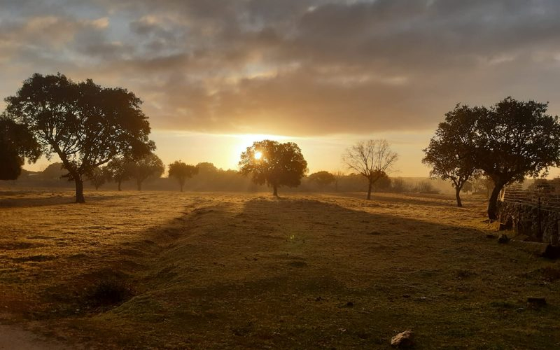La luz que nos guía en momentos de sombras