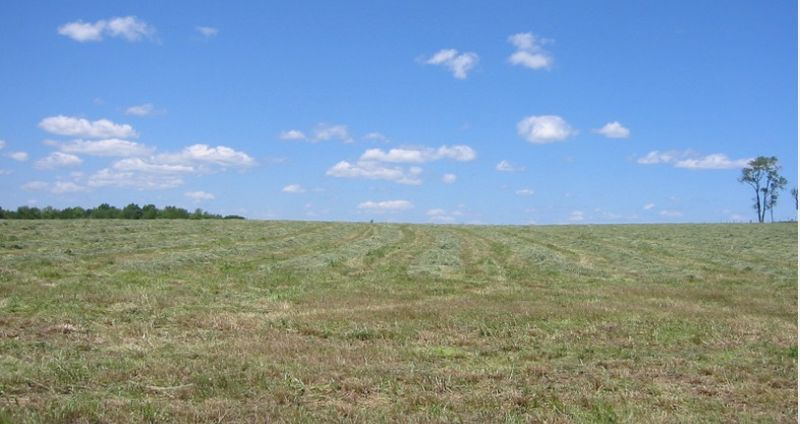 ¡¡¡Agua, San Marcos!!!