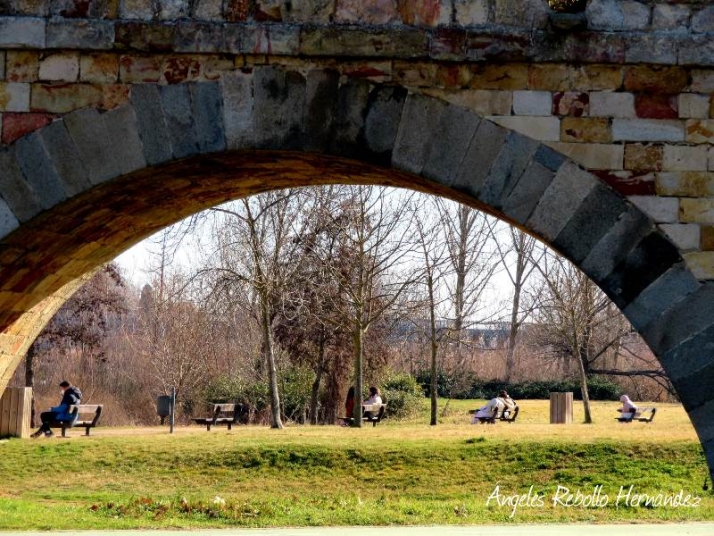 Existencias apacibles