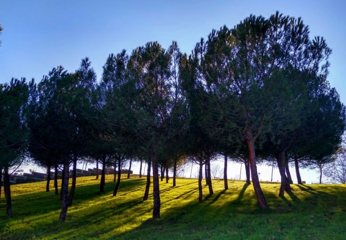 Respirar en libertad 