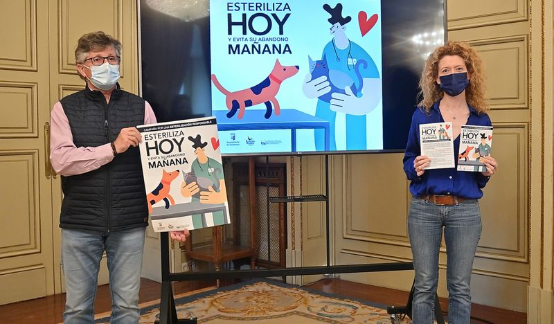 Las razones por las que debes plantearte la esterilización de tu mascota