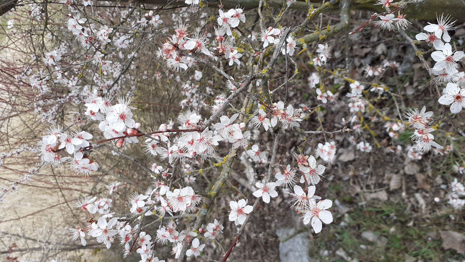 Tiempos paradójicos