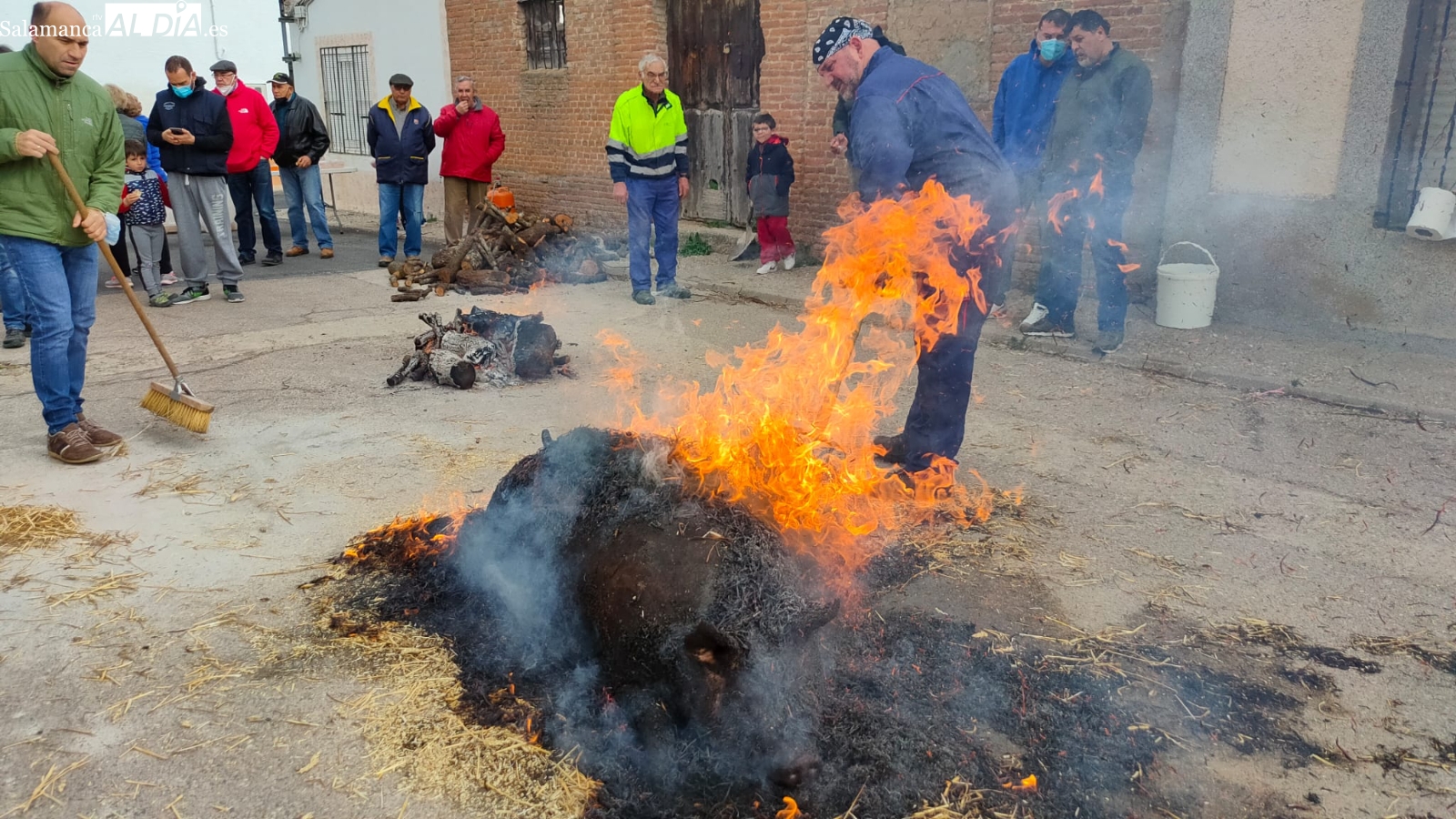 Mancera de Abajo se vuelca en la celebración de su 4ª Matanza Tradicional