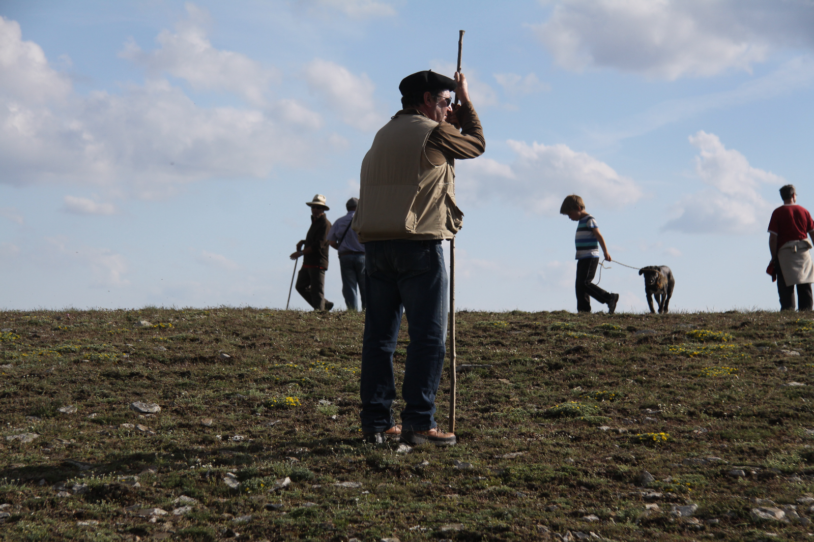 Medio Natural y trashumancia - 9 . Desplazamiento de los animales 