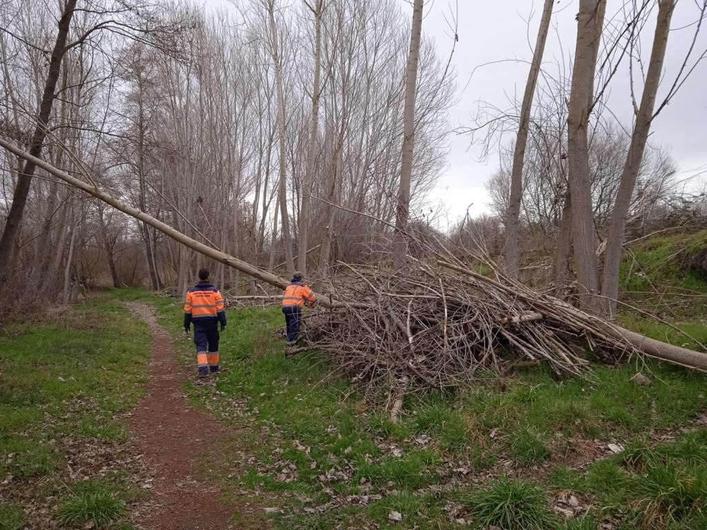 Se intensifican los trabajos de jardinería tras la llegada de la primavera