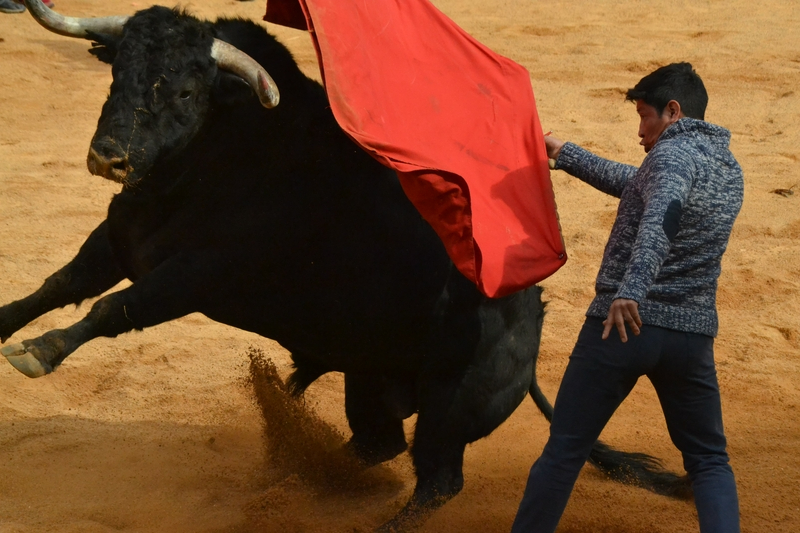 Guía para los de la frase ‘He estado todos los días de fiesta y no he visto nada’