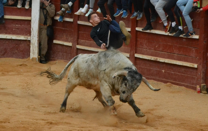 Una capea extralarga deja varios meritorios saltos a los astados