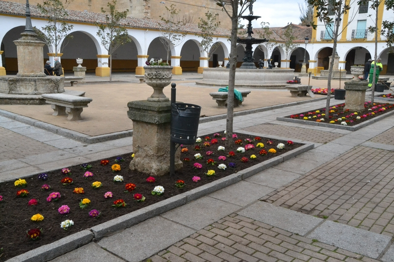La Plazuela del Buen Alcalde empieza a ‘renacer’ tras el ‘tsunami’ carnavalero 