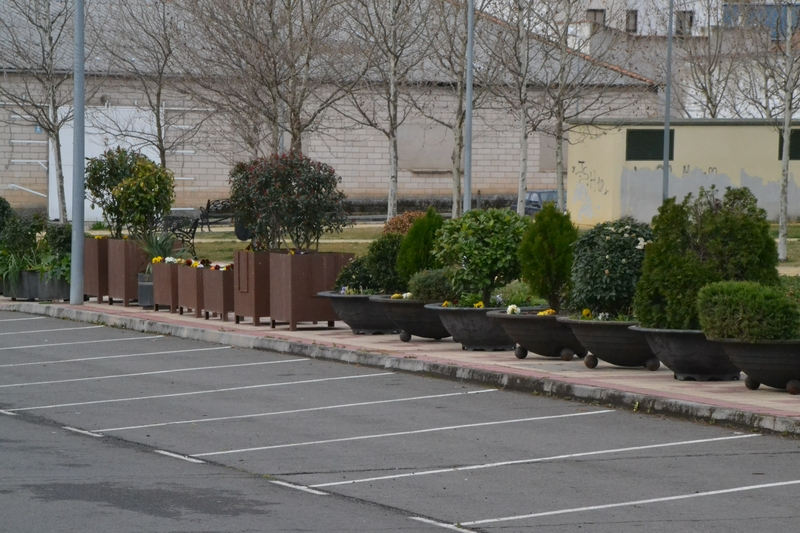 1Foto: En formación