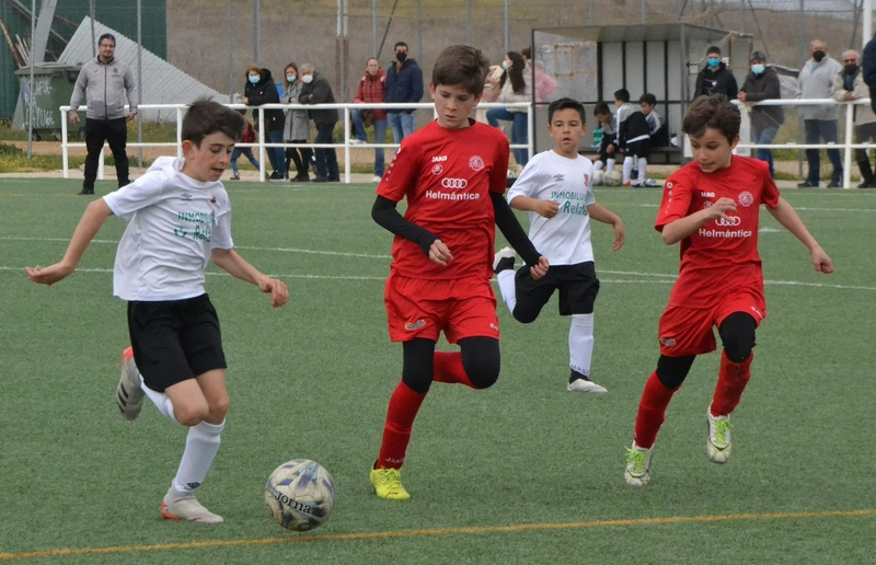 #M [19|20 MAR] Clara victoria del Benjamín B del Ciudad Rodrigo ante el Hergar Helmántica D