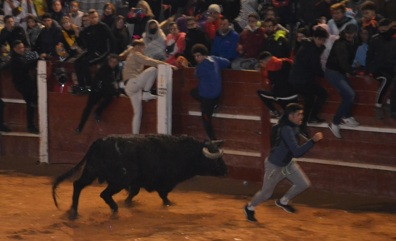 Buen juego de los toros donados por los constructores de los tablaos en una noche de fenomenal ambiente
