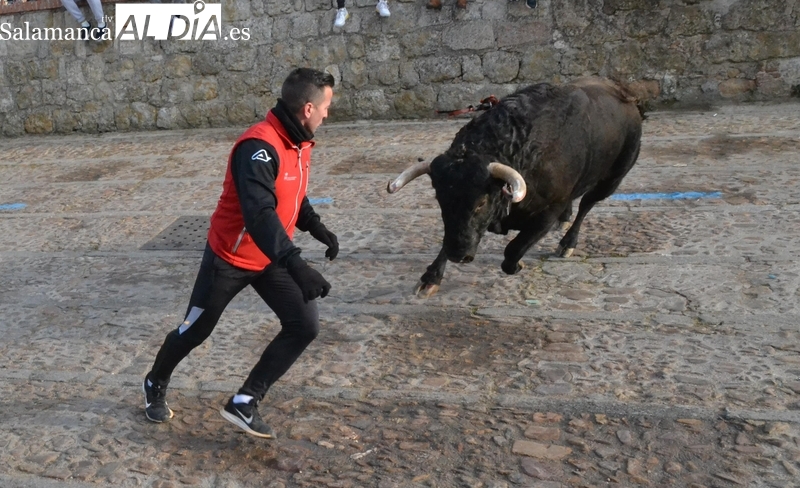 El Toro del Aguardiente realiza varias idas y venidas tras salir del Registro 20 años después