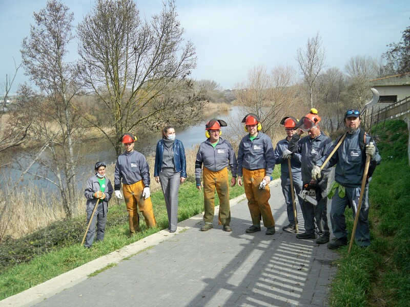 Limpieza y desbroce en el tramo urbano de la ribera del Tormes en Santa Marta 