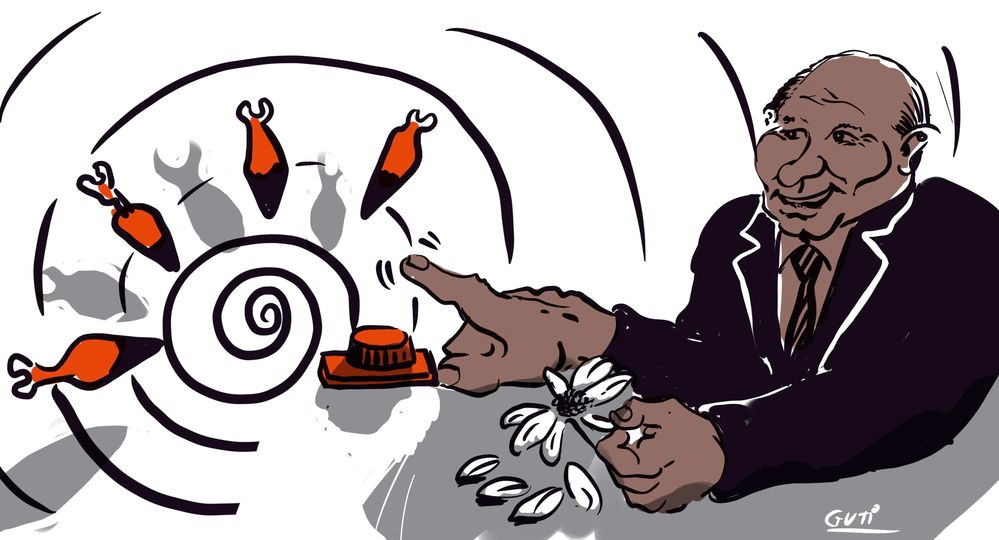 Deshojando la margarita