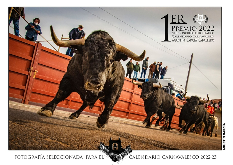 Elegidas las 12 imágenes que integrarán el Calendario Carnavalero, pertenecientes a 9 autores diferentes