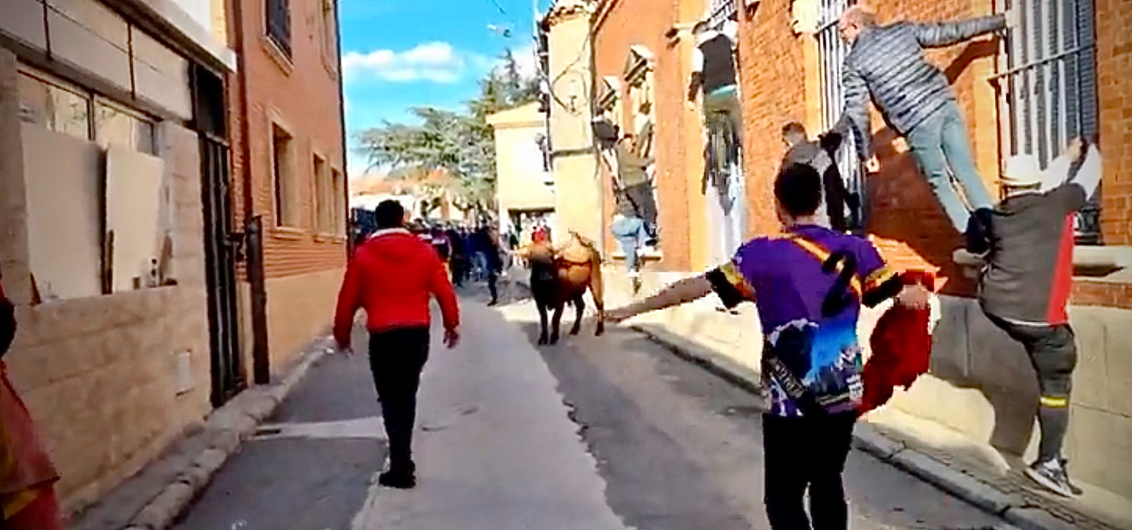 Gran ambiente para recibir a los encierros en Cantalapiedra, con un herido por asta de toro
