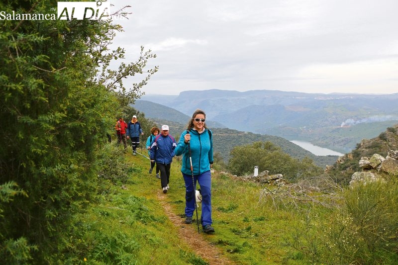 El plazo de inscripción vence el 11 de marzo a las 14.00 horas y no se admiten el día de la marcha / CORRAL