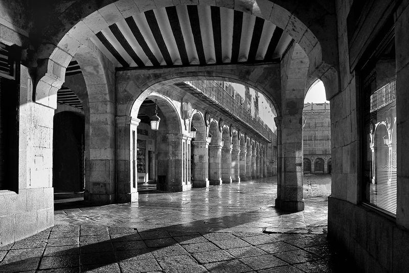 Proporciones que embelesan