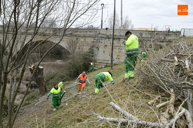 La Alameda de la Moretona y la ribera entre el Puente Mayor y La Concha renuevan su imagen