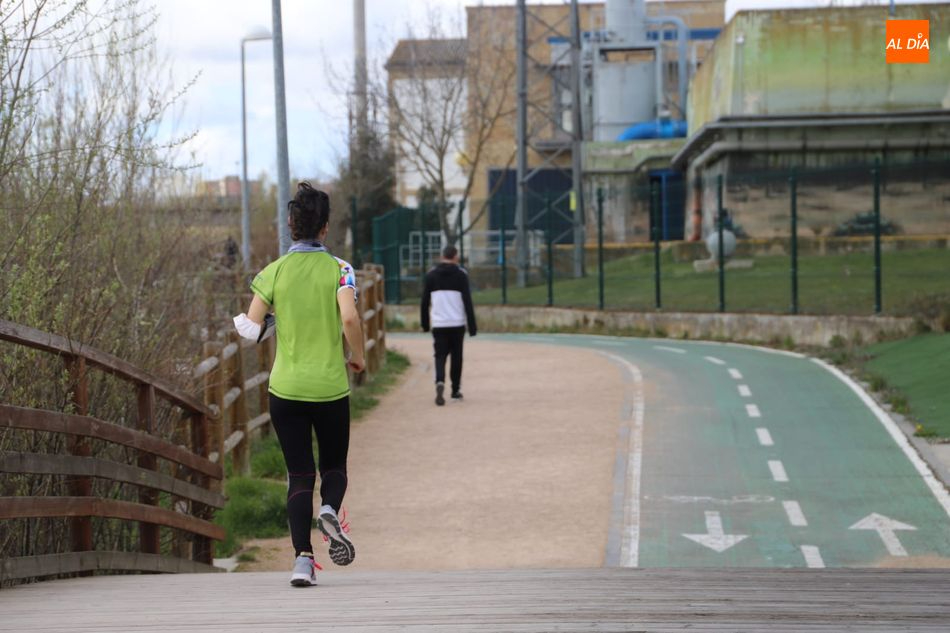 Así puede afectar la alergia al polen en primavera 