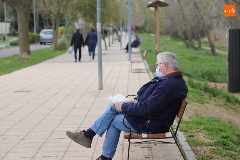 Así será la primavera este año para los alérgicos al polen en Castilla y León 
