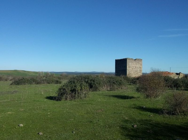 El castillo de Tamames se suma a la Lista Roja de Patrimonio por su estado ruinoso