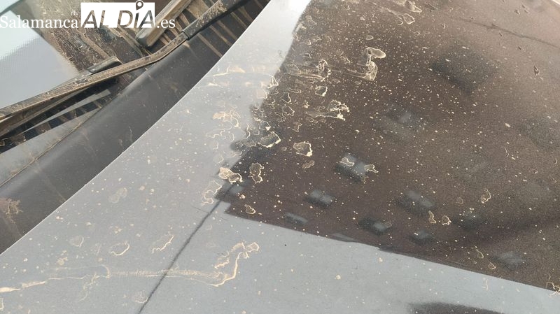 Consejos para la población ante las nubes de polvo sahariano que llegan a Salamanca
