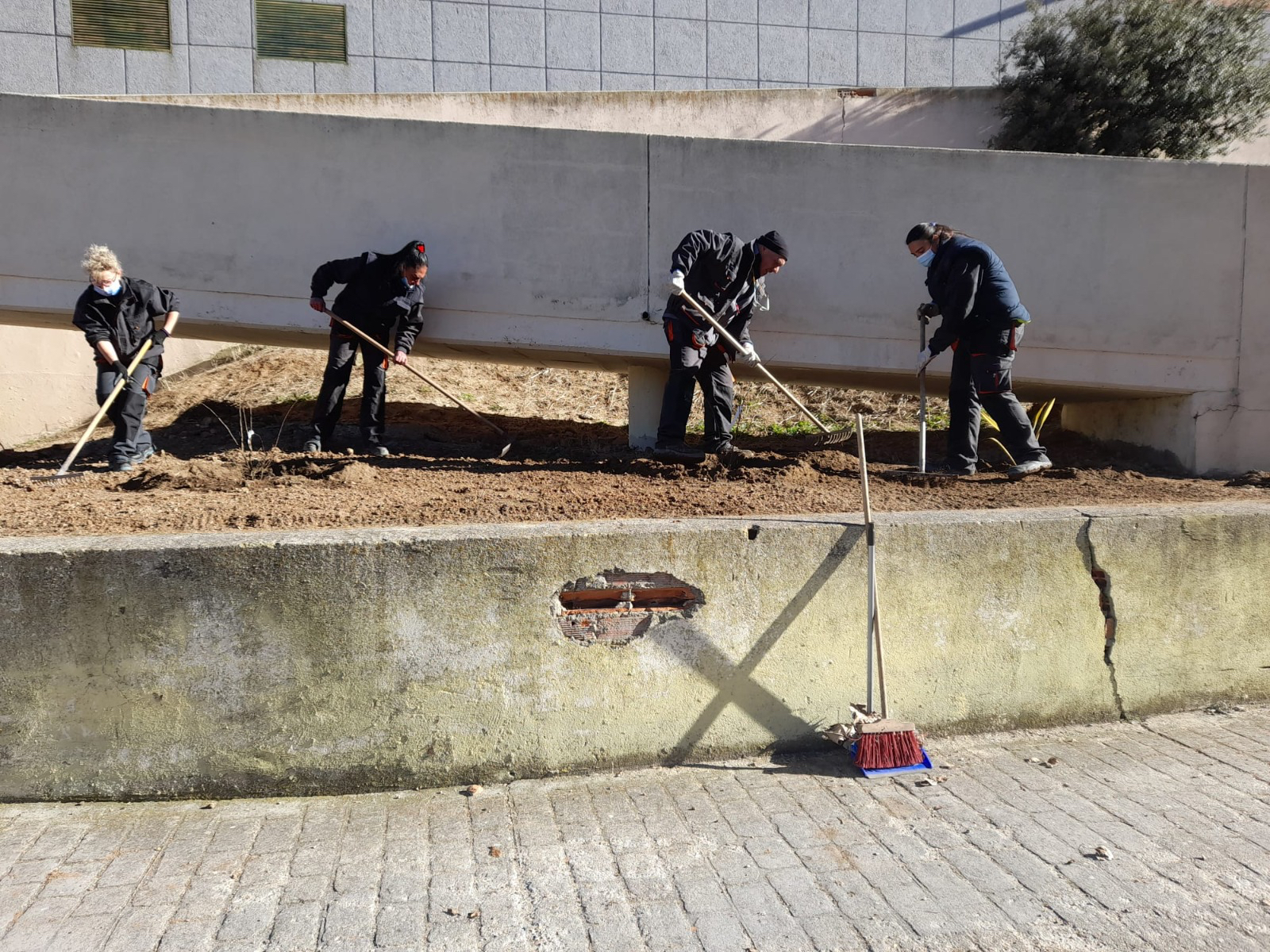 El alumnado del AFE Restaura Verde continúa con su formación