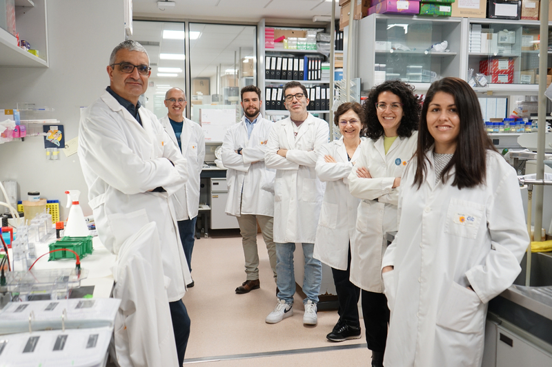 Investigadores del CIC de Salamanca descubren un nuevo gen inductor de cáncer y sus debilidades terapéuticas