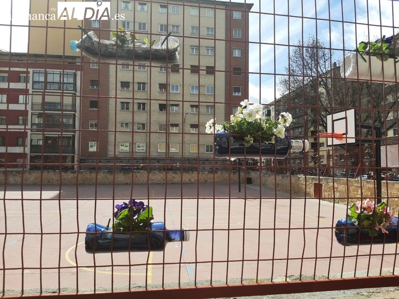 Escolares salmantinos transforman el patio de su colegio plantando flores