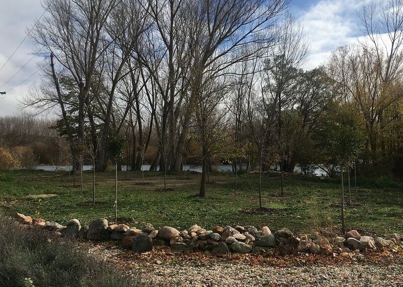 ‘Viviendo el Tormes’, ruta señalizada de alto valor ecológico 