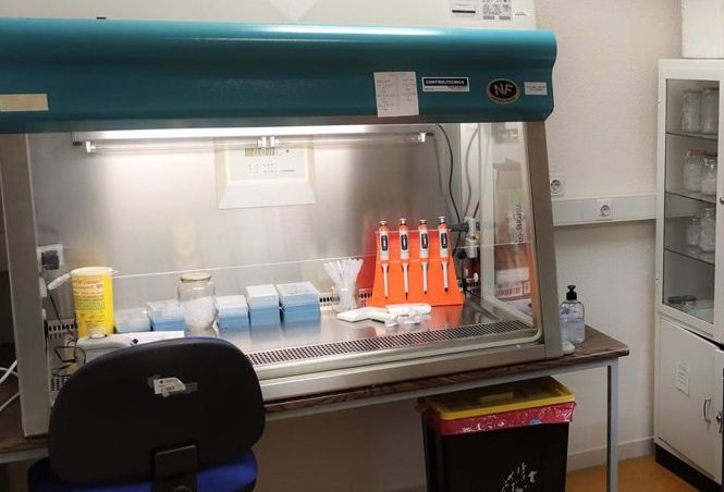 Castilla y León entra en un periodo epidémico por el aumento de casos de gripe