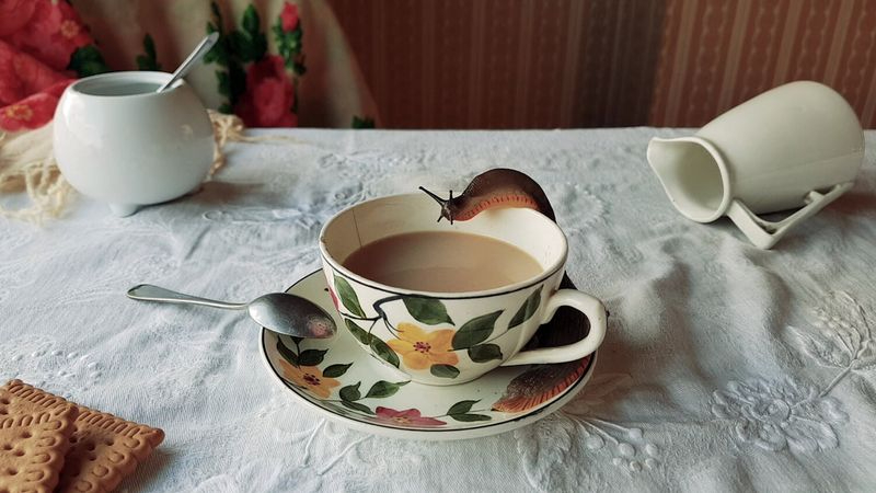 Las creaciones visuales de Greta Alfaro, que no dejan indiferente al espectador, llegan a Salamanca