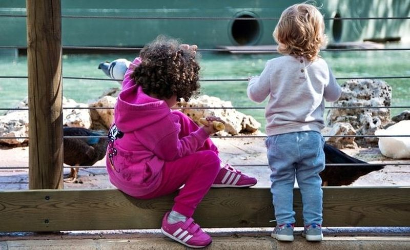 El parque de la Alamedilla acogerá talleres infantiles, cuentos, juegos y música