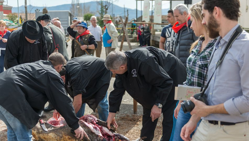 El Circuito de Matanzas Tradicionales llega este fin de semana a 3 municipios