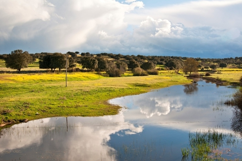Senderismo en primavera por cordeles y cañadas de la provincia de Salamanca 