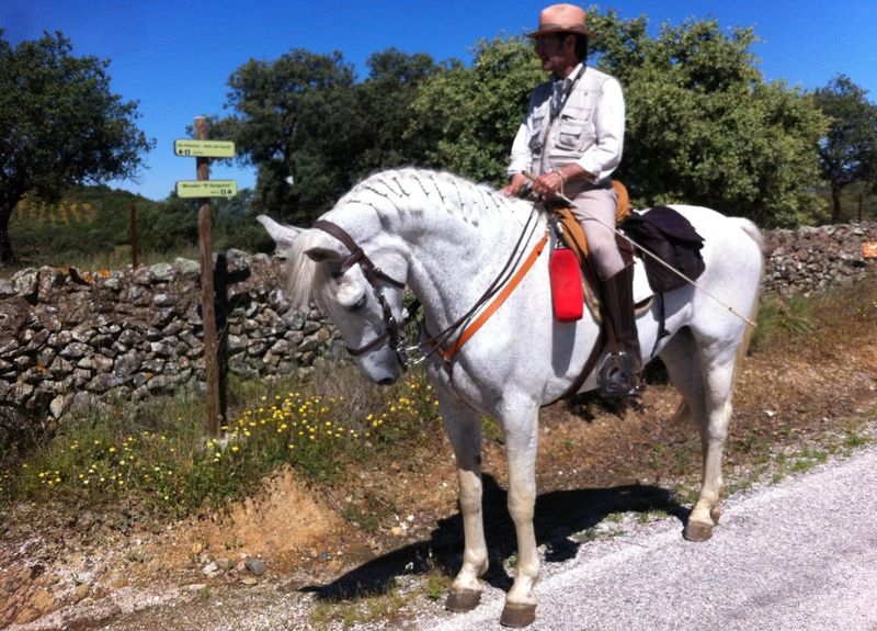 Tres jinetes recorrerán el centro de Salamanca este viernes
