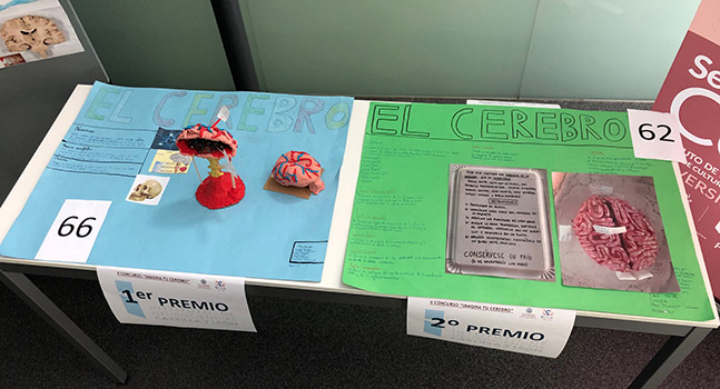 Nueva edición de la Semana del Cerebro en el Instituto de Neurociencias de Castilla y León