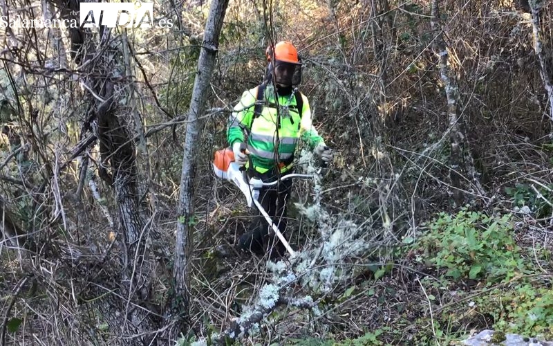 Un programa del ECyL facilita la formación y el empleo de ocho jóvenes en Aldeadávila