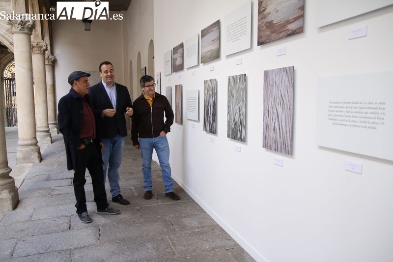 El Patio de la Salina se transforma en El bosque marino