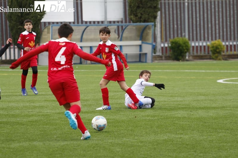El fútbol base provincial vuelve a la normalidad tras el parón