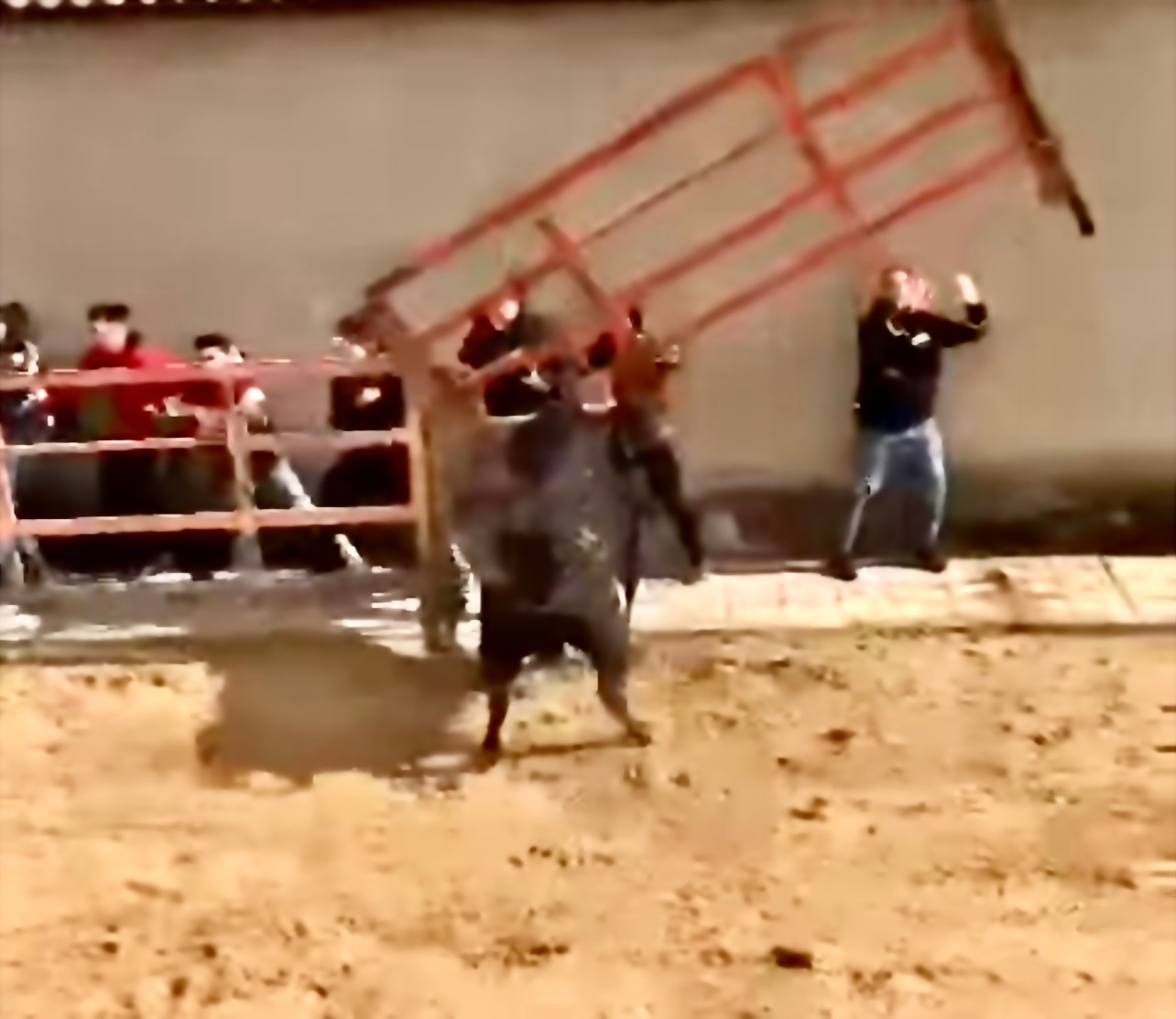 Evolucionan favorablemente los dos heridos en el Toro del Voto de Villoria