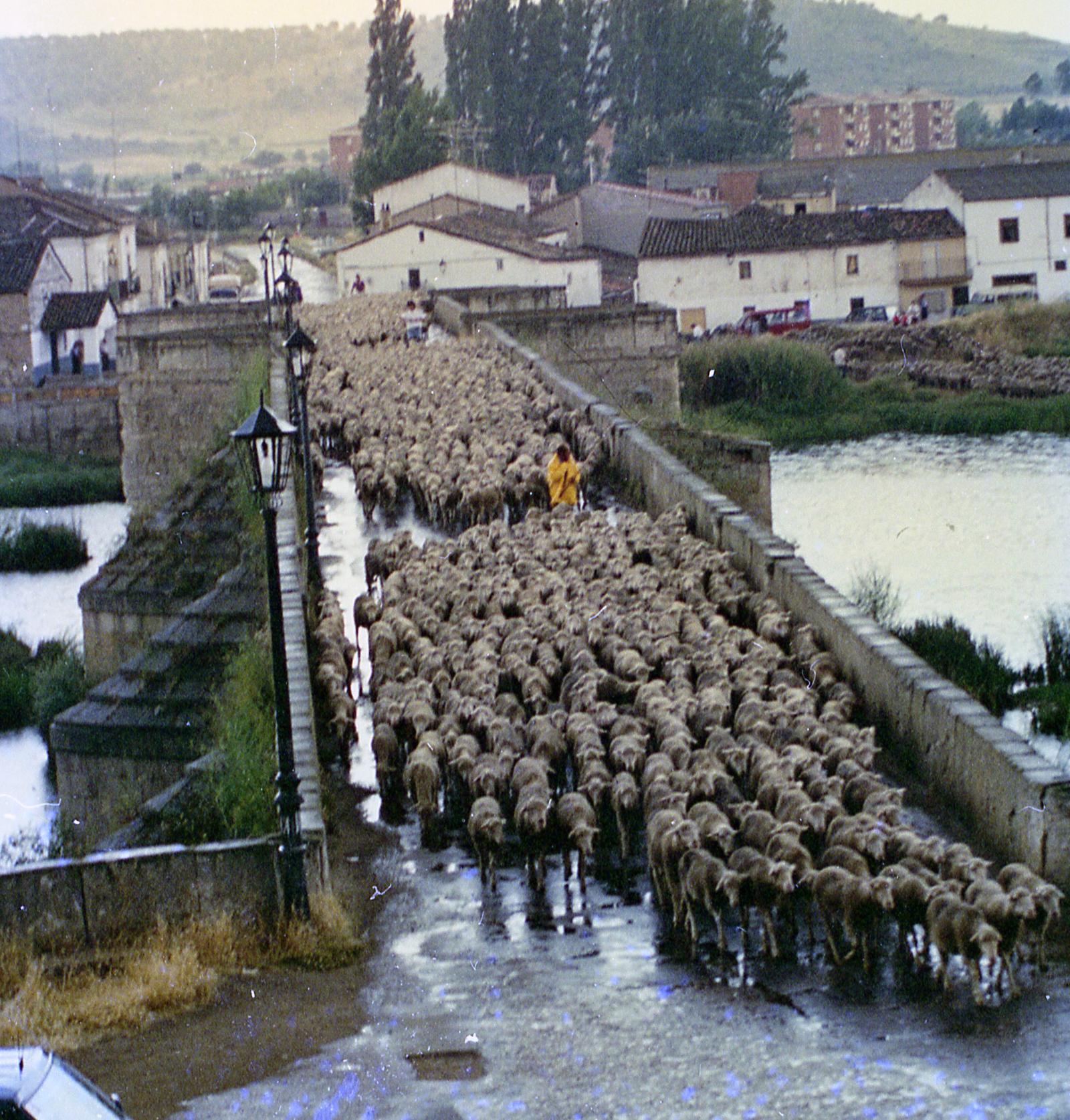 El medio natural y la trashumancia - 12 . El paso de los cursos del agua