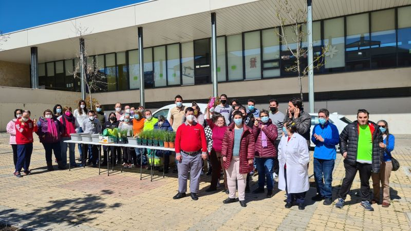 Nuevo avance medioambiental en Salamanca con el proyecto Alcorques savios